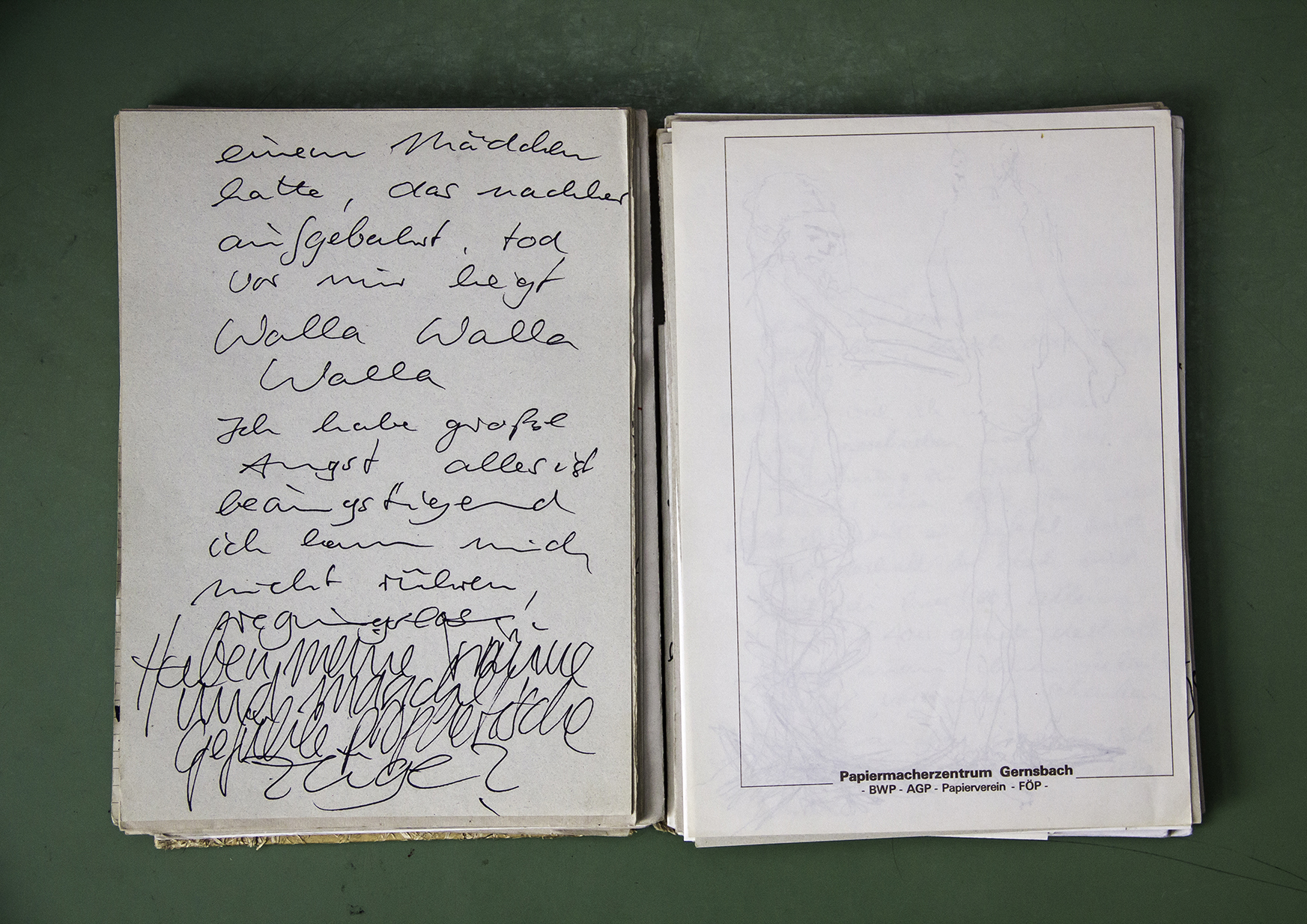 Perspectives (Martin)