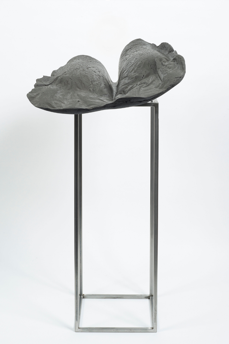 Basis 5 (eselpositiv)