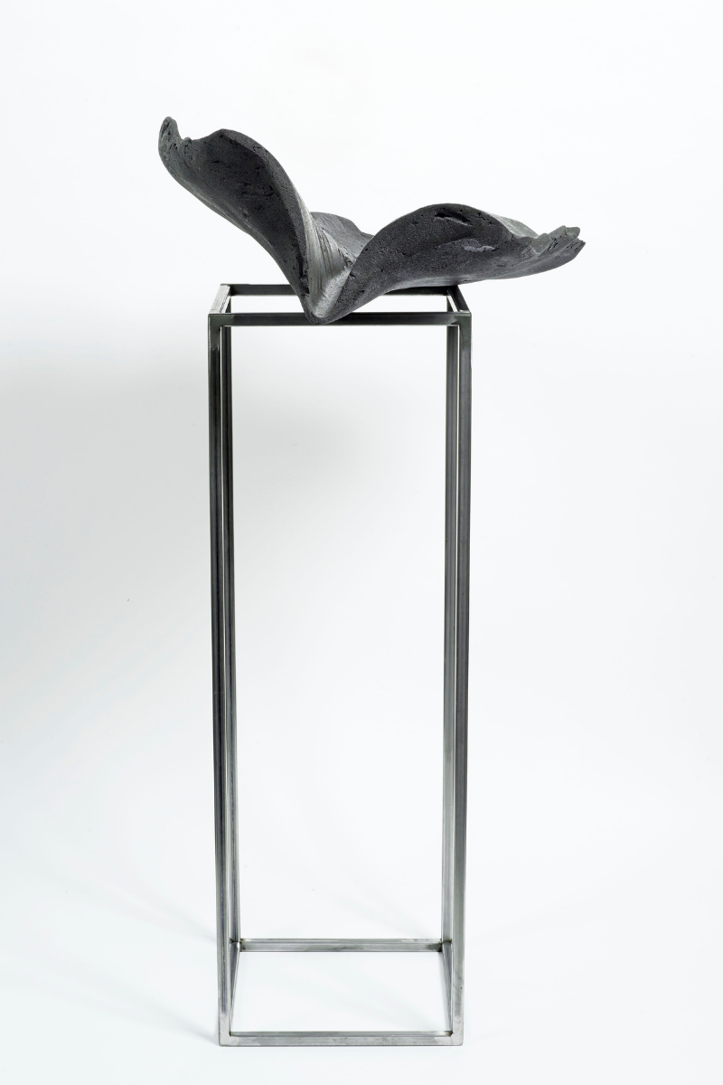 Basis 5 (eselpositiv)