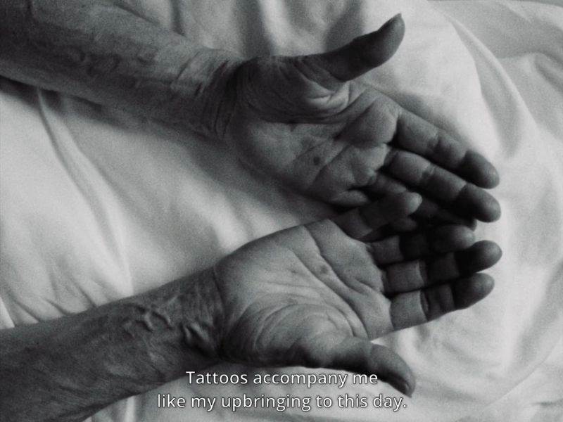 Turtleneck Phantasies