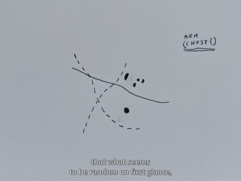 Turtleneck Phantasies