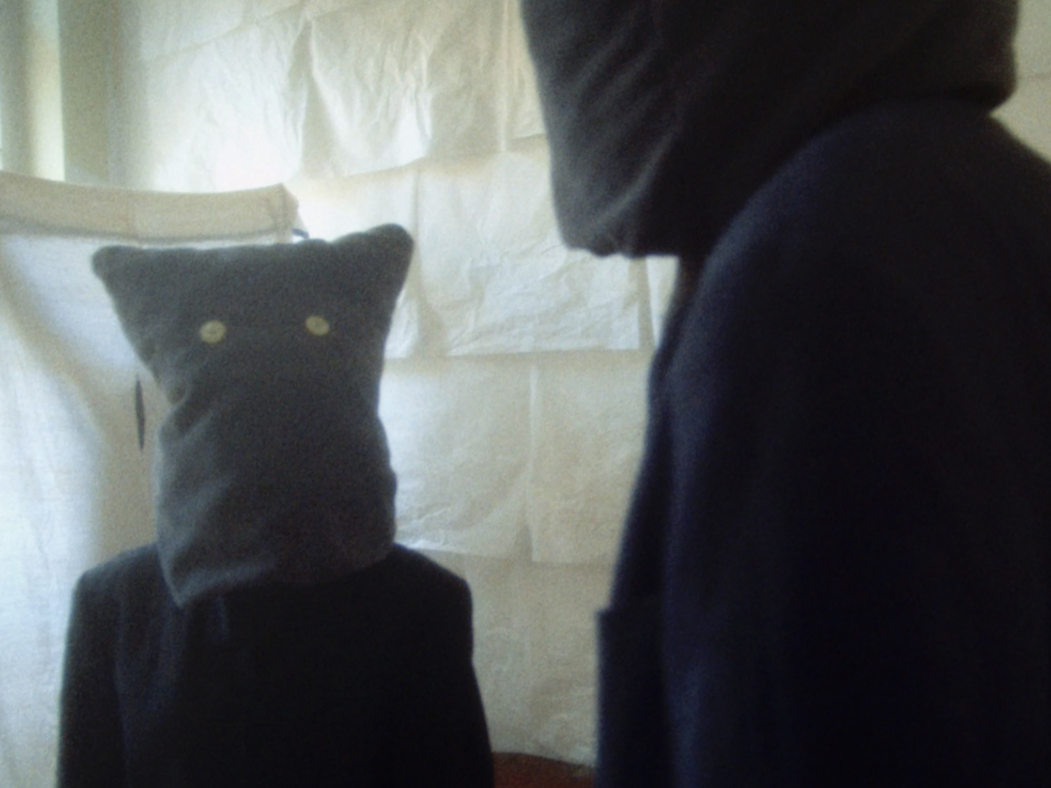 Bird in Italian is Uccello