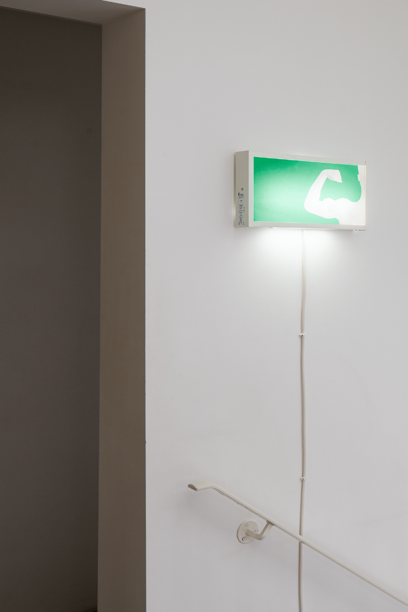 Exit Sign (Body Builder)