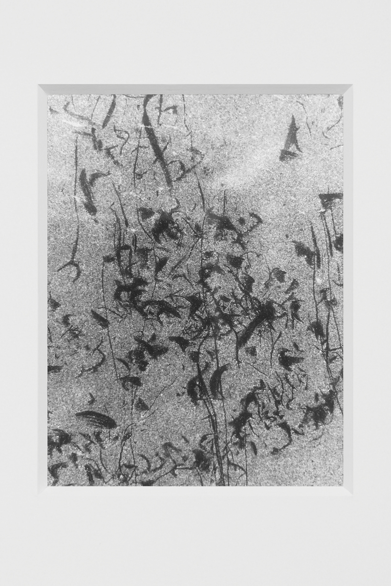 Falling Throwing Leaves