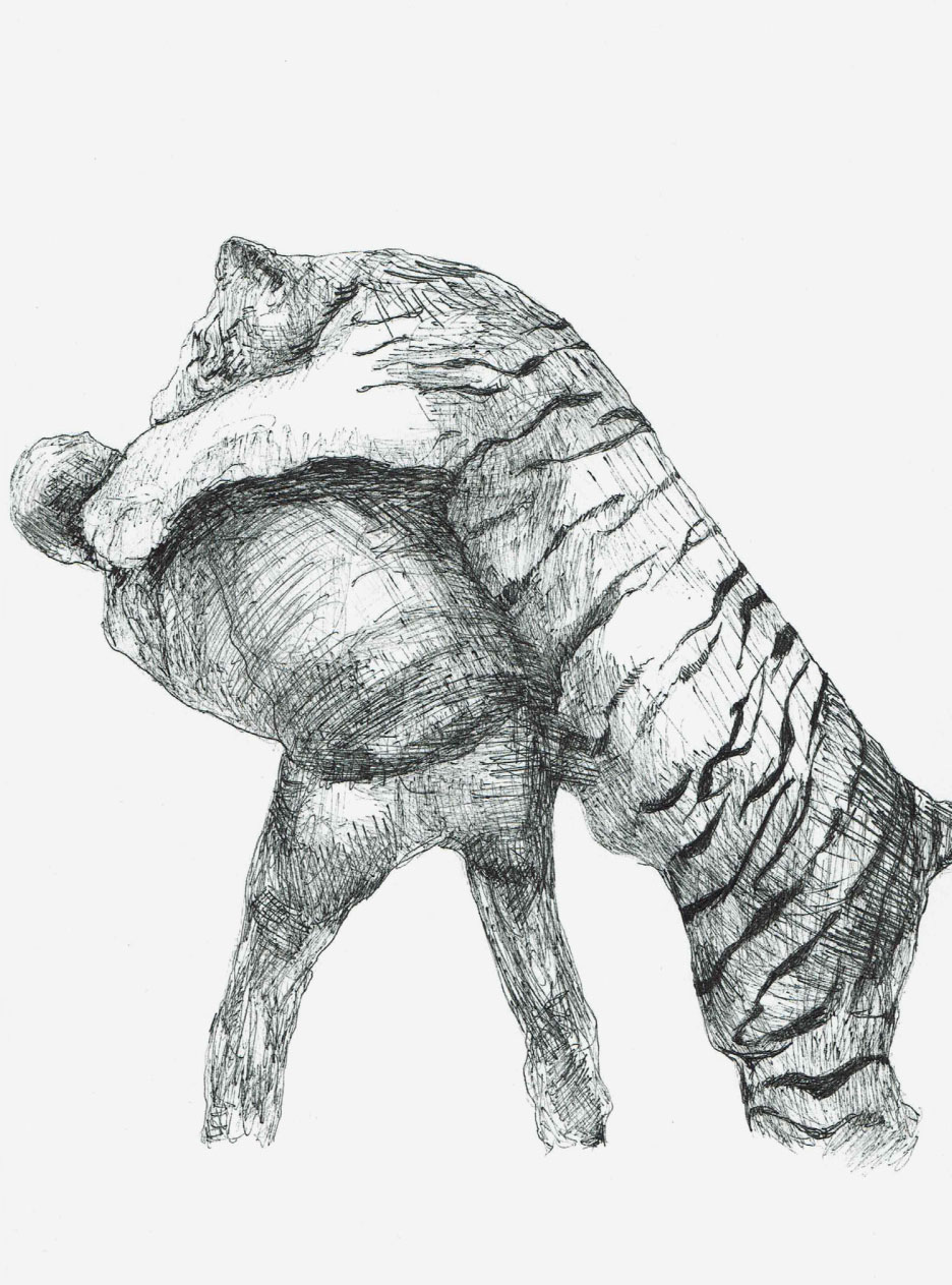 animal attacks, drawing series (s)