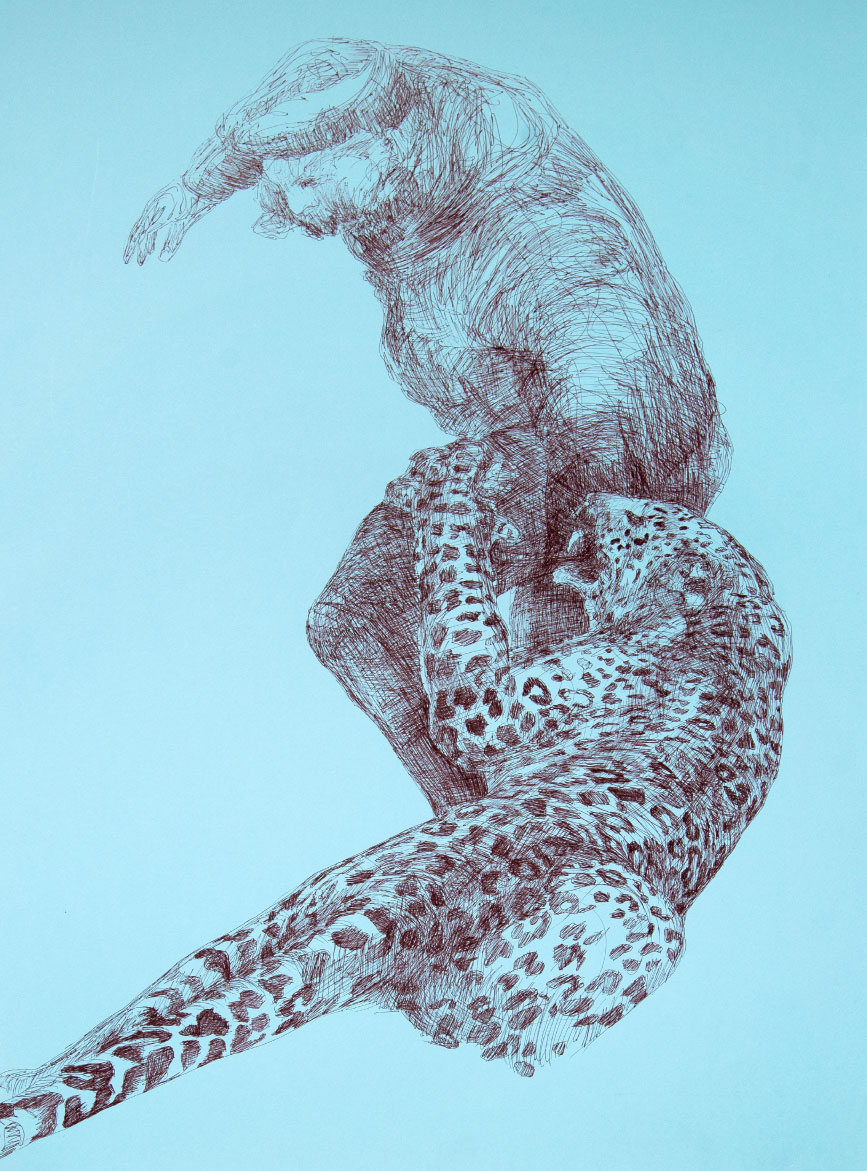 animal attacks, drawing series (e)