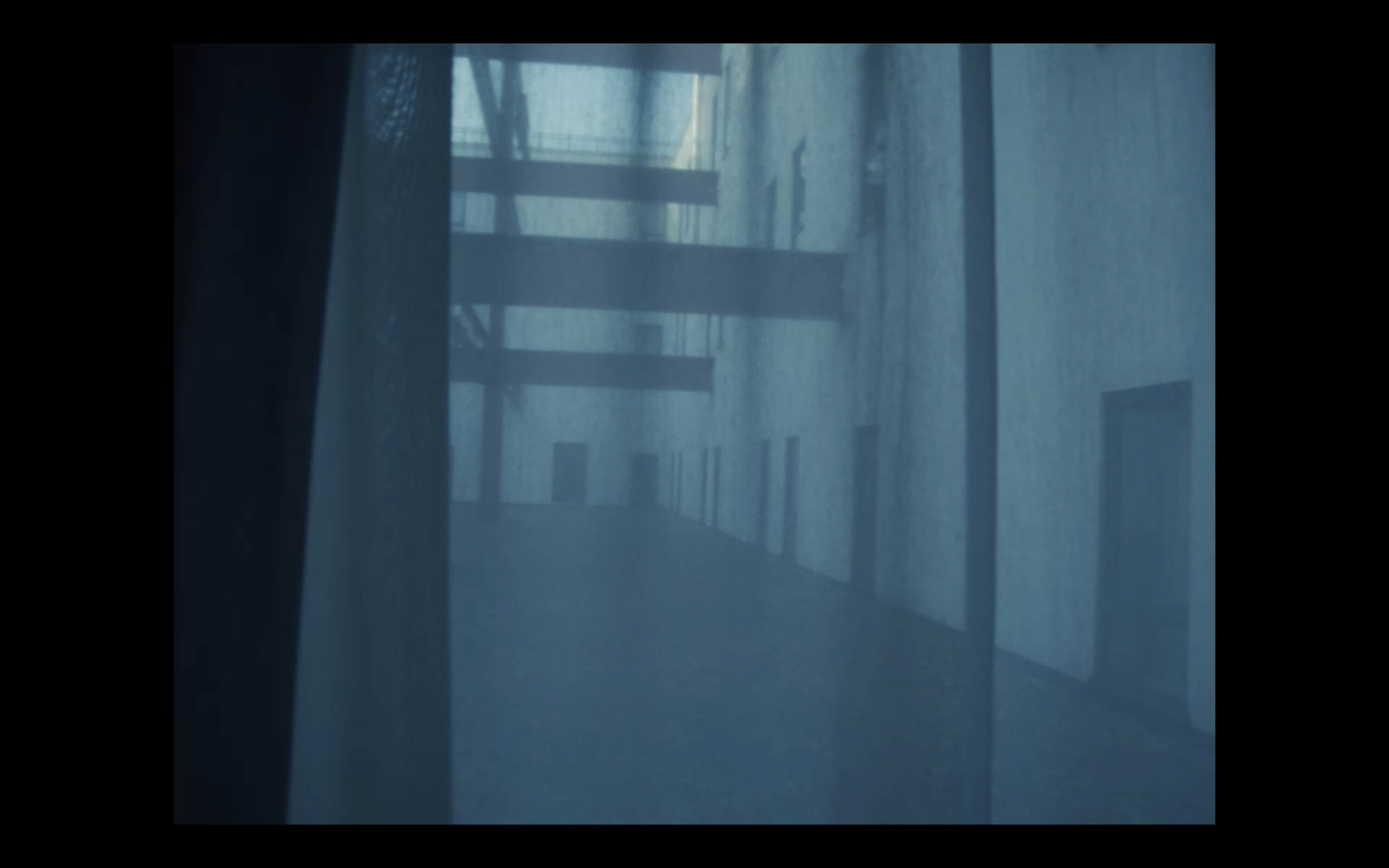 Family Constellation with a Fox