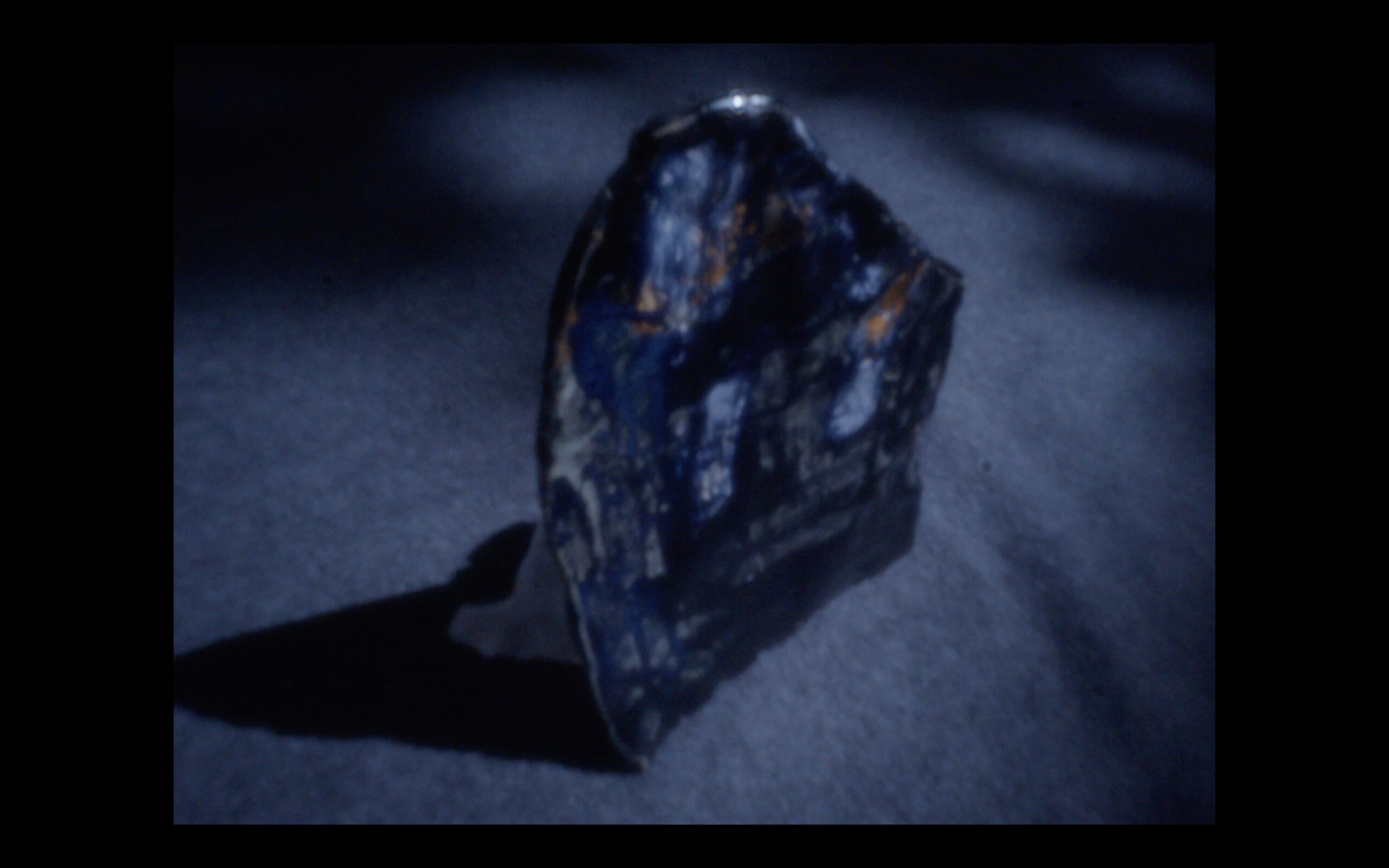 Family Constellation with a Fox