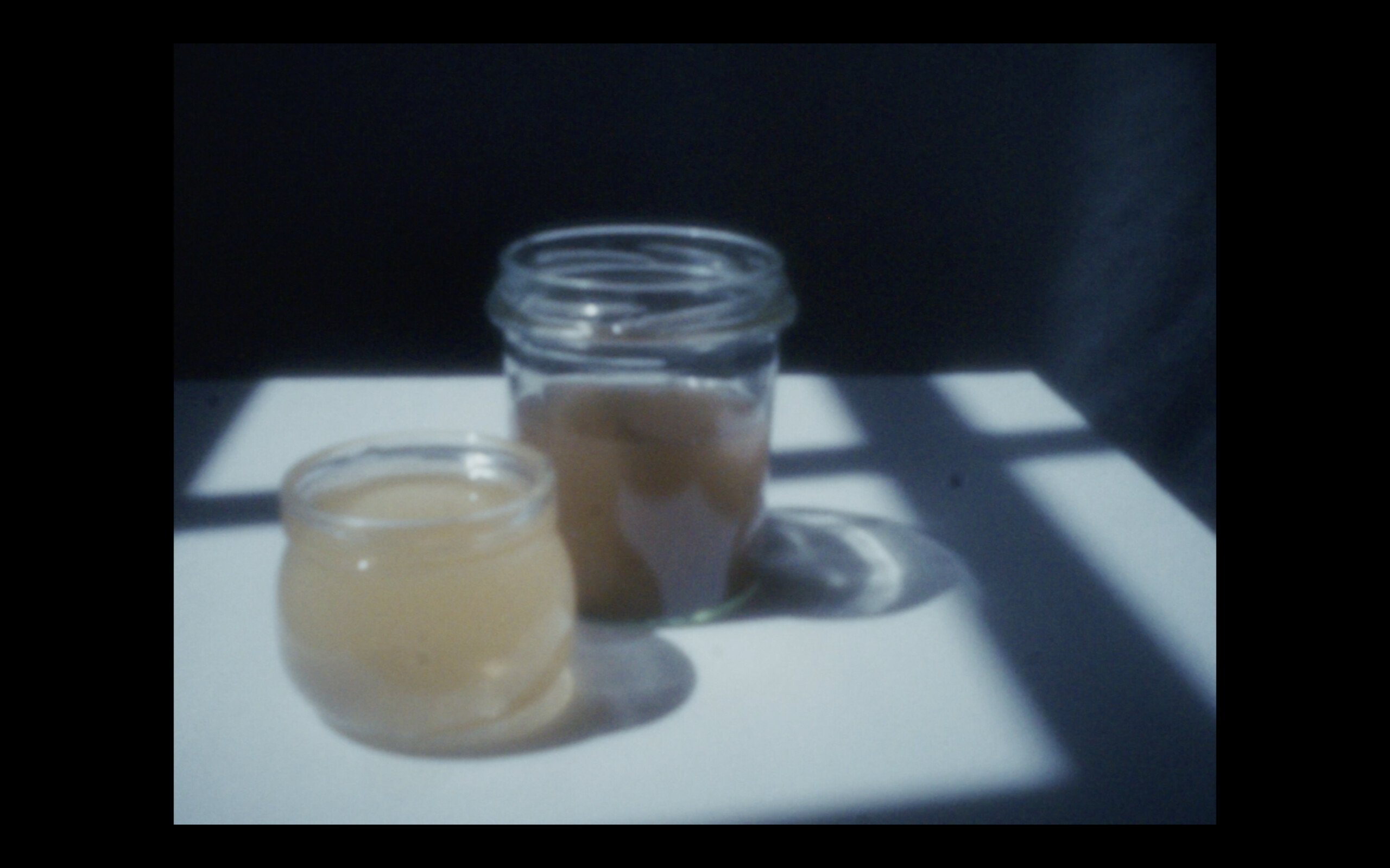 Family Constellation with a Fox