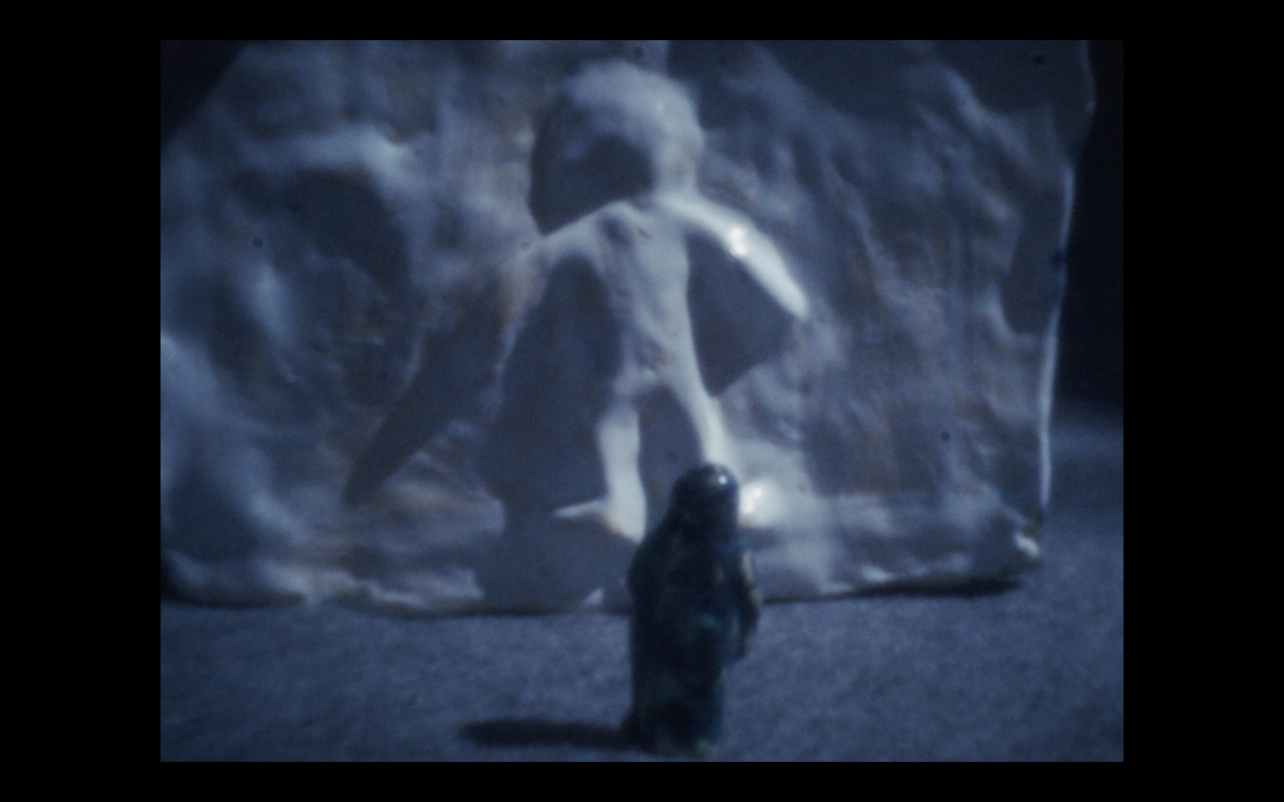 Family Constellation with a Fox