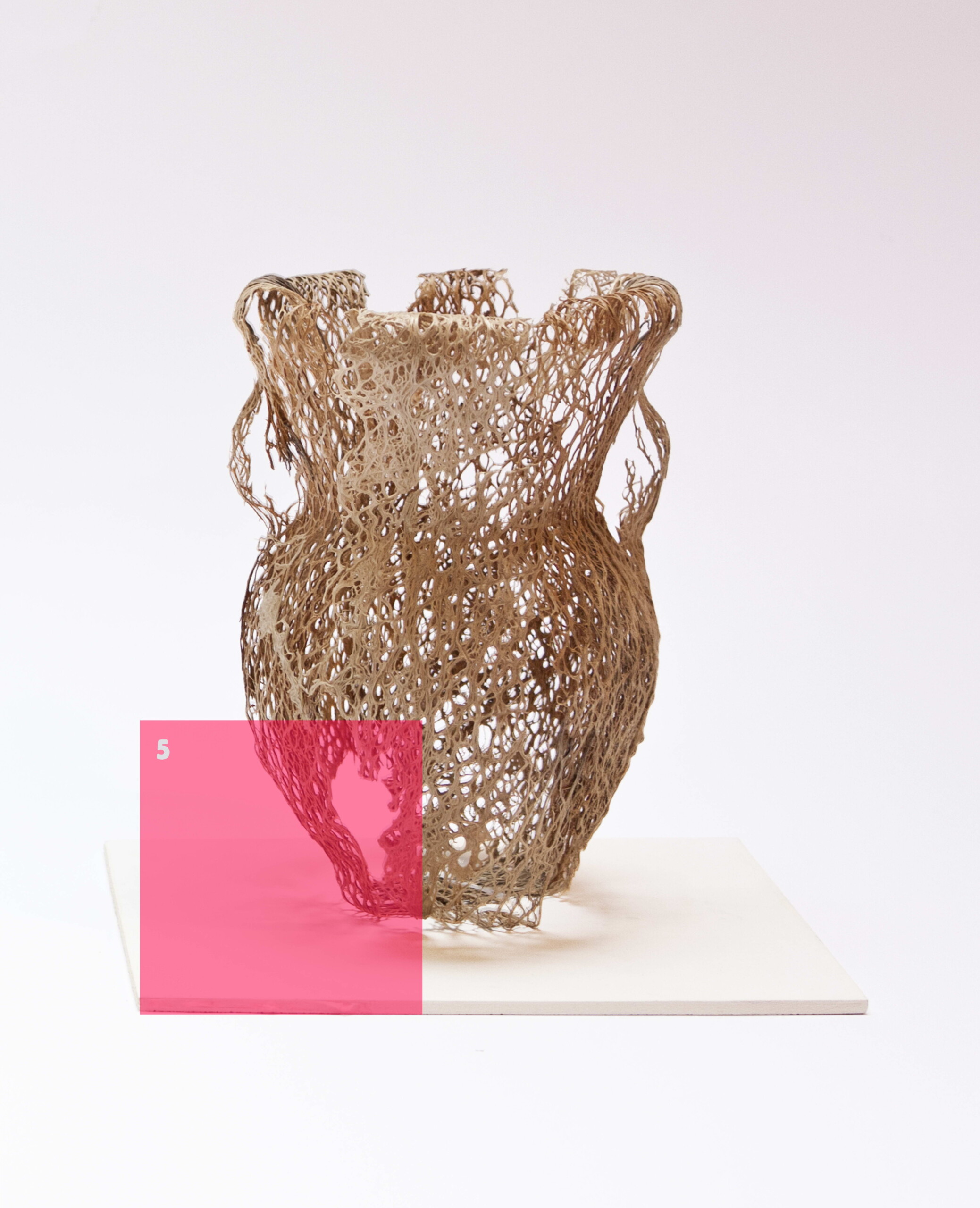 Natura Morta con Rosa