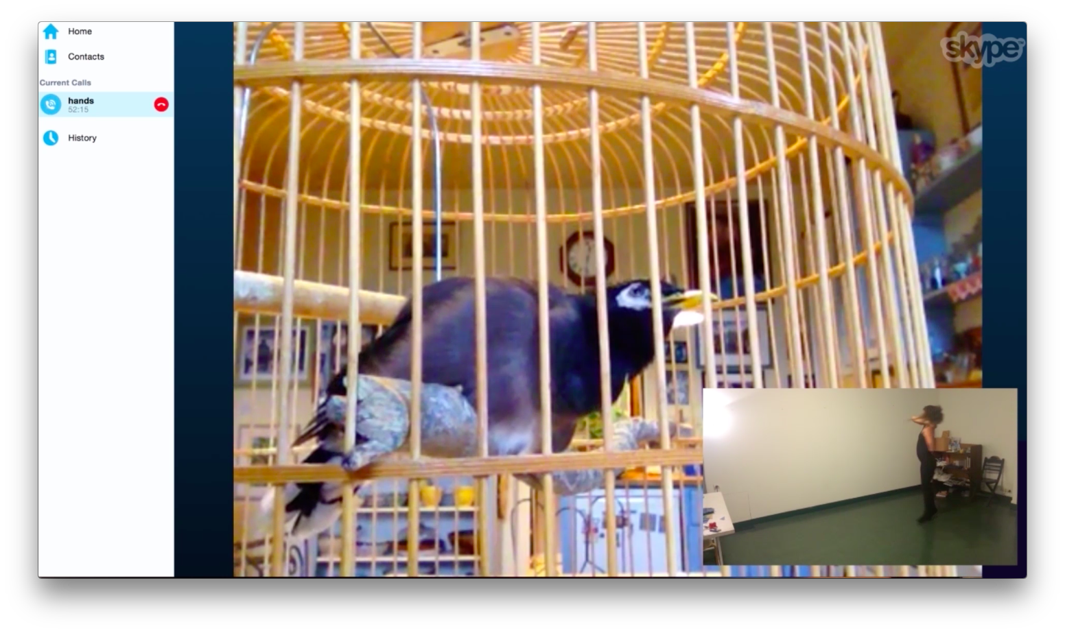 Estée Lauder – Adapting