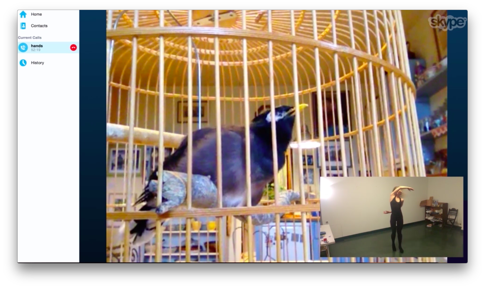 Estée Lauder – Adapting