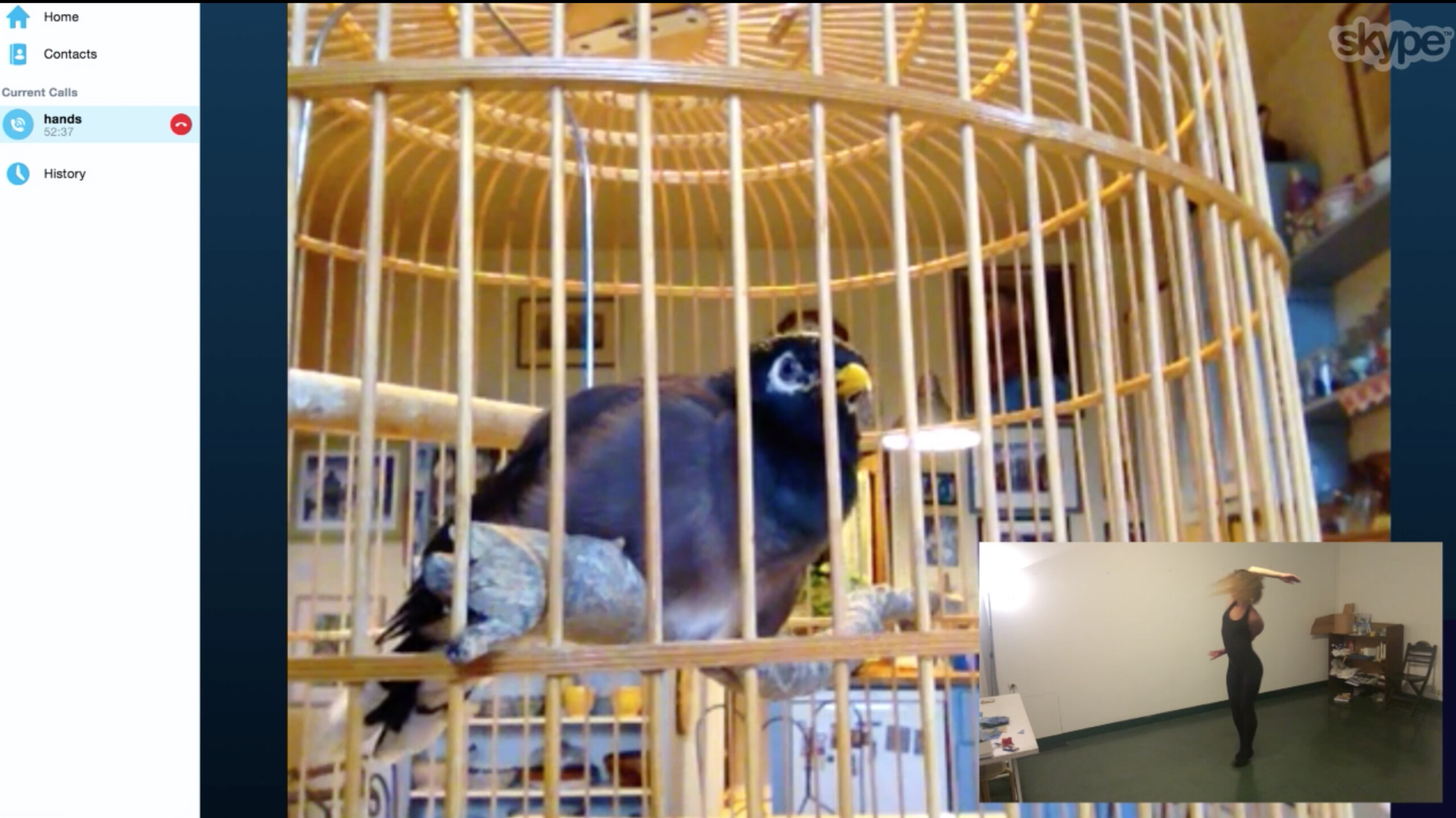 Estée Lauder – Adapting