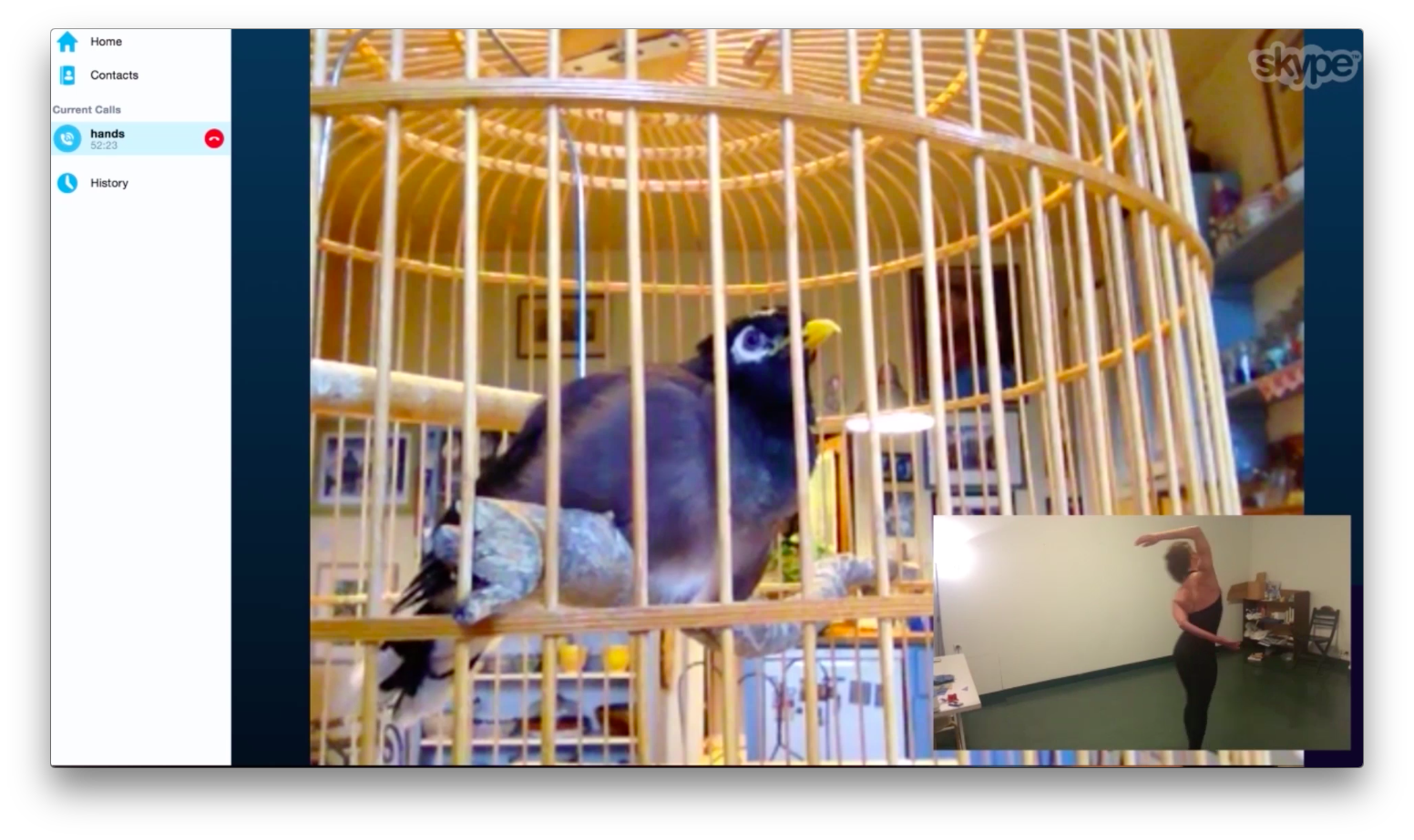 Estée Lauder – Adapting