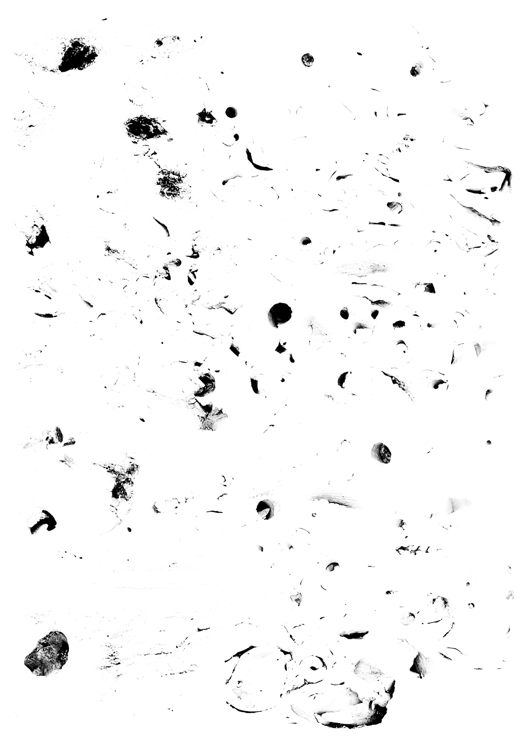 The Economist [detail]