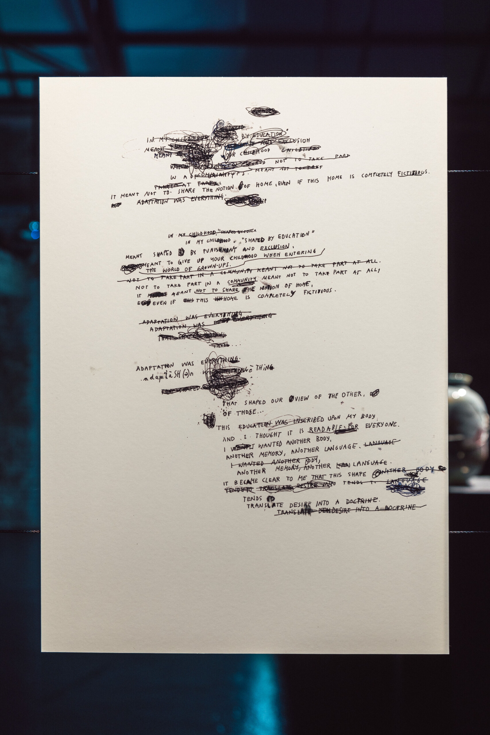 Adaptation through Education