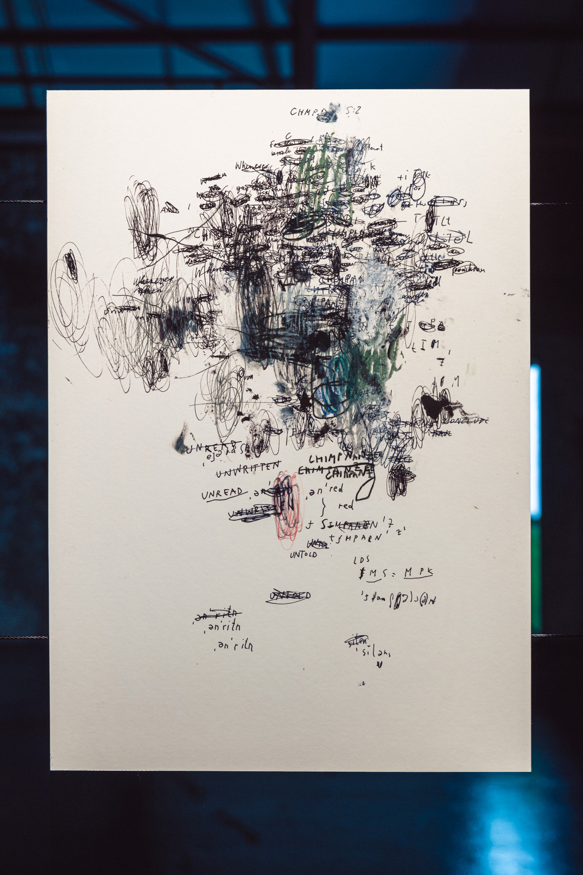 Chimpanzee. Unread, Unwritten, Untold.