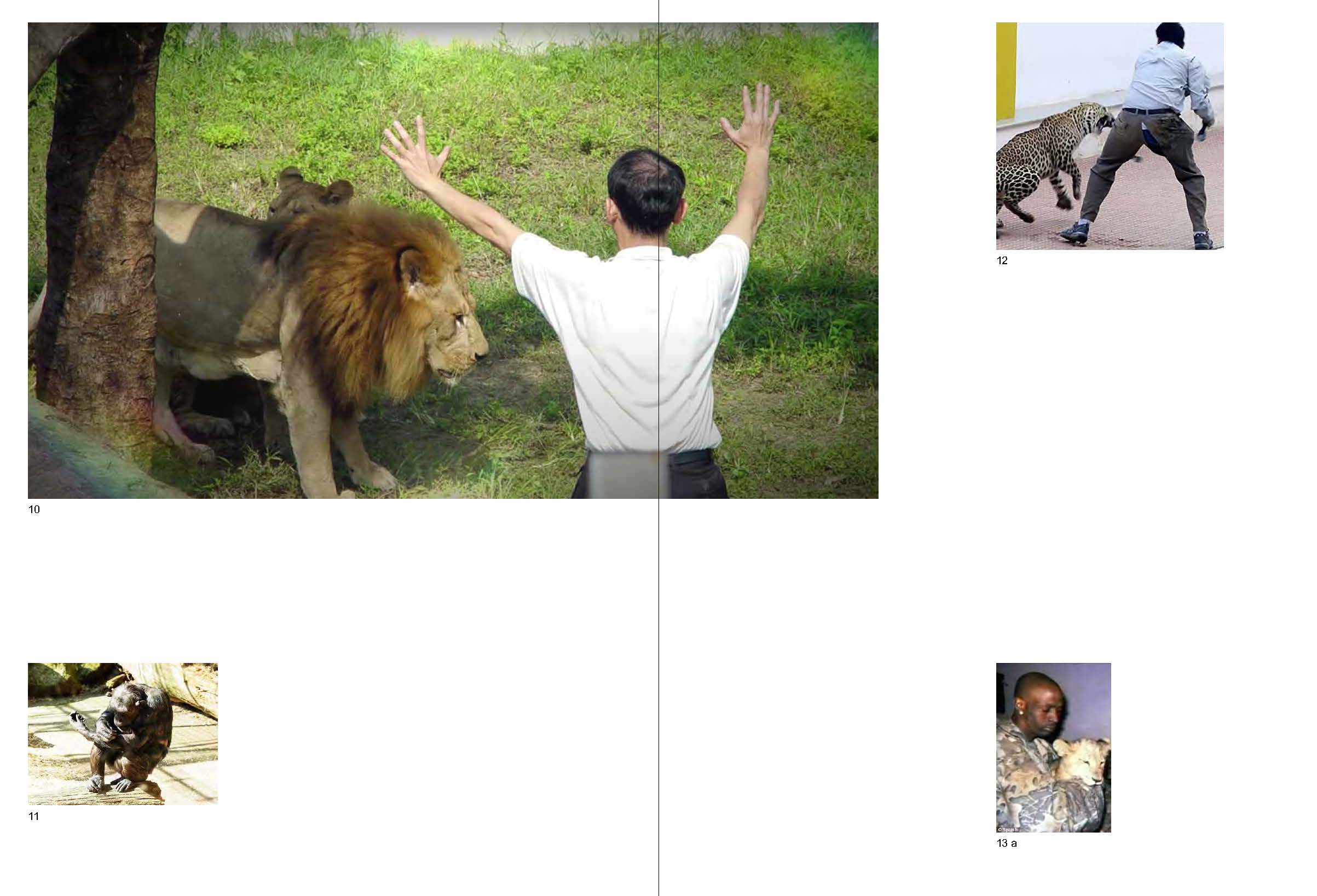 [page from] Brief Inventory of Animals Resistance. Volume I