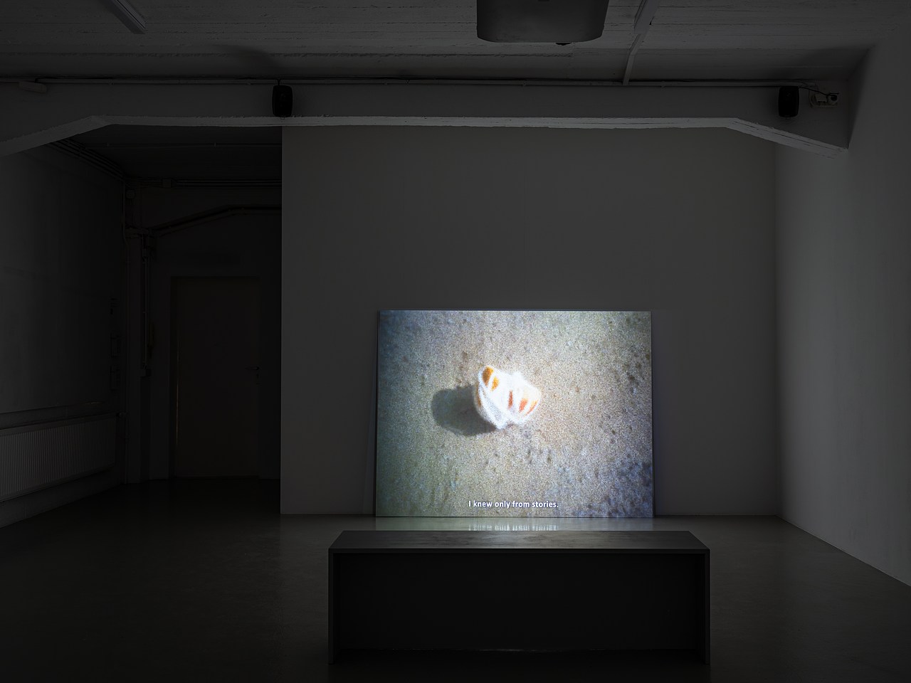 image_processing20241003-2-45yyls