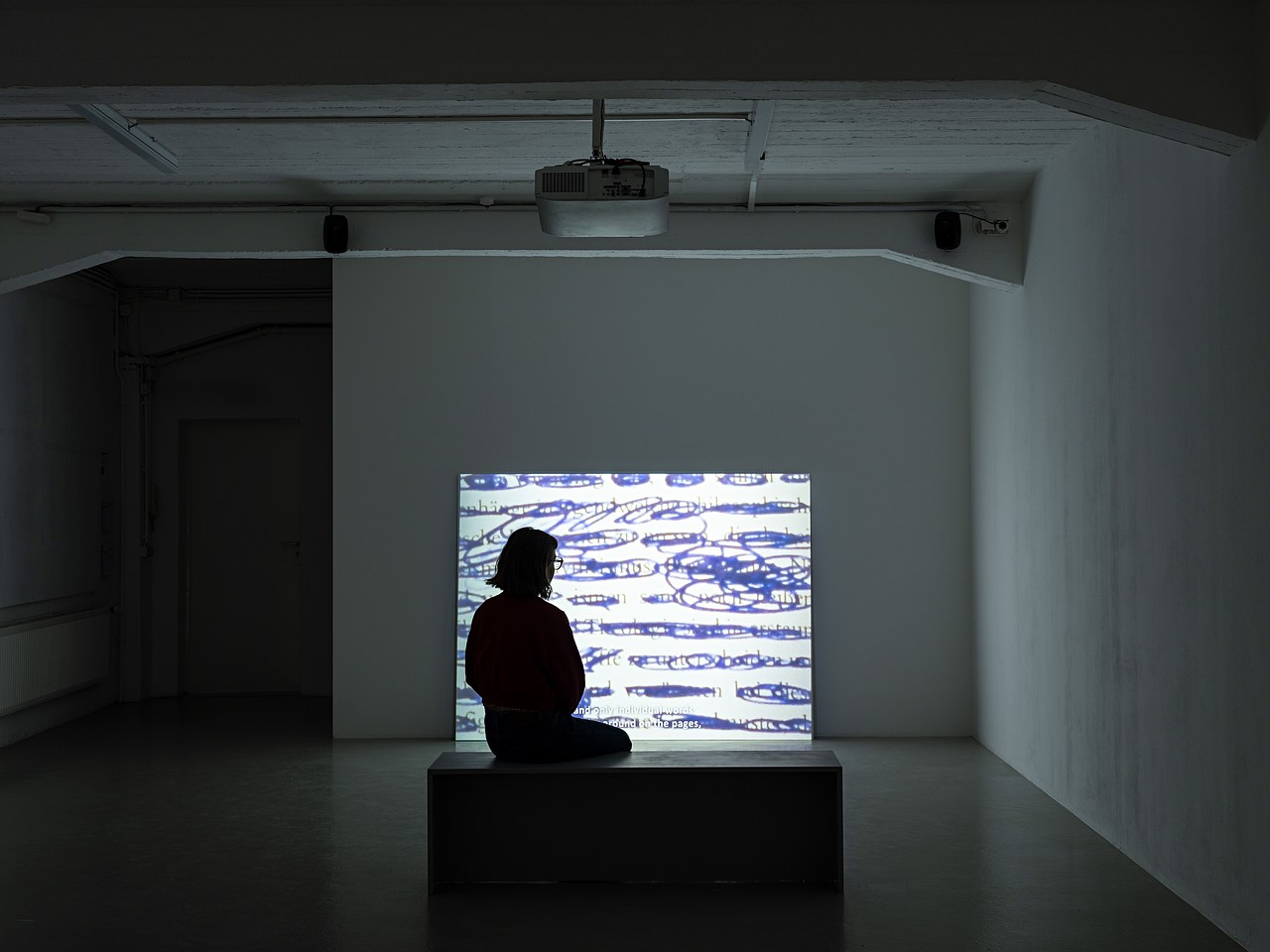 image_processing20241003-2-8iov7c