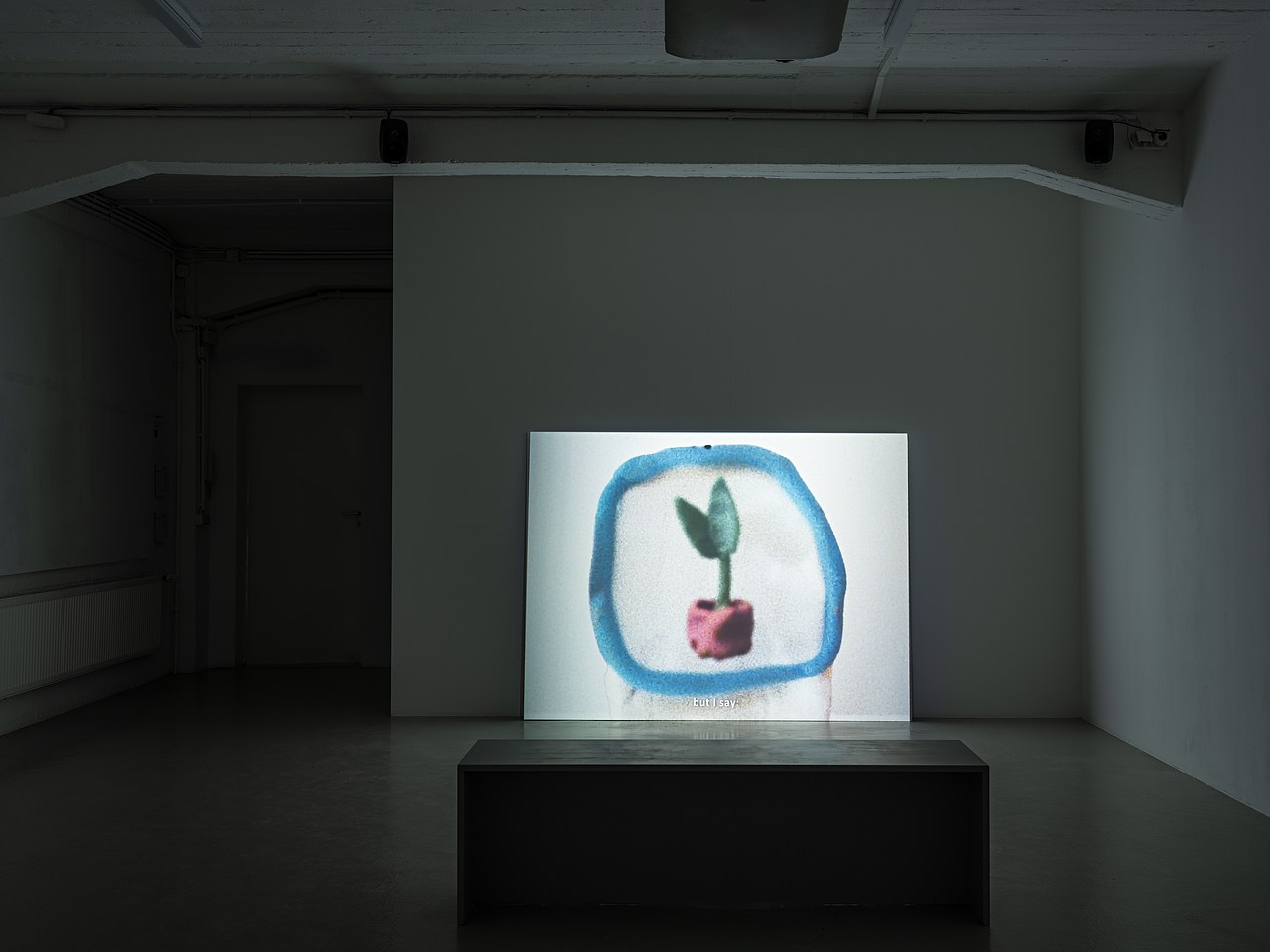 image_processing20241003-2-pqa8kv