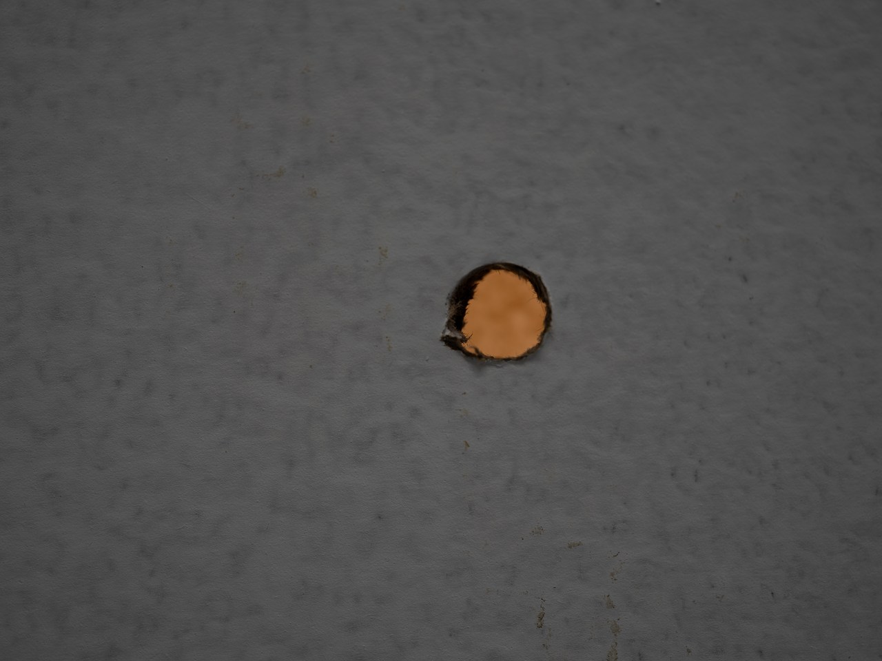 image_processing20241003-2-z7u4ng