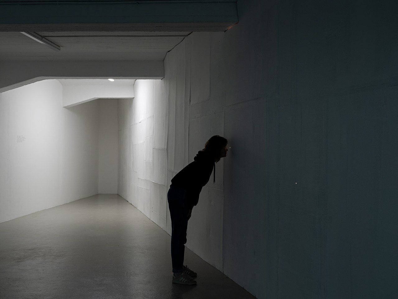 image_processing20241003-2-zcam3