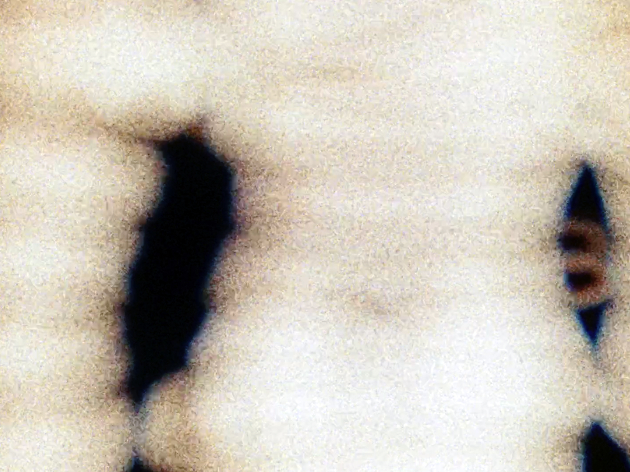 You Do Not Leave Traces of Your Presence, Just of Your Acts