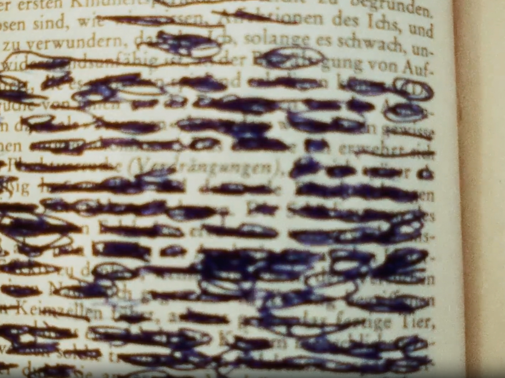 You Do Not Leave Traces of Your Presence, Just of Your Acts