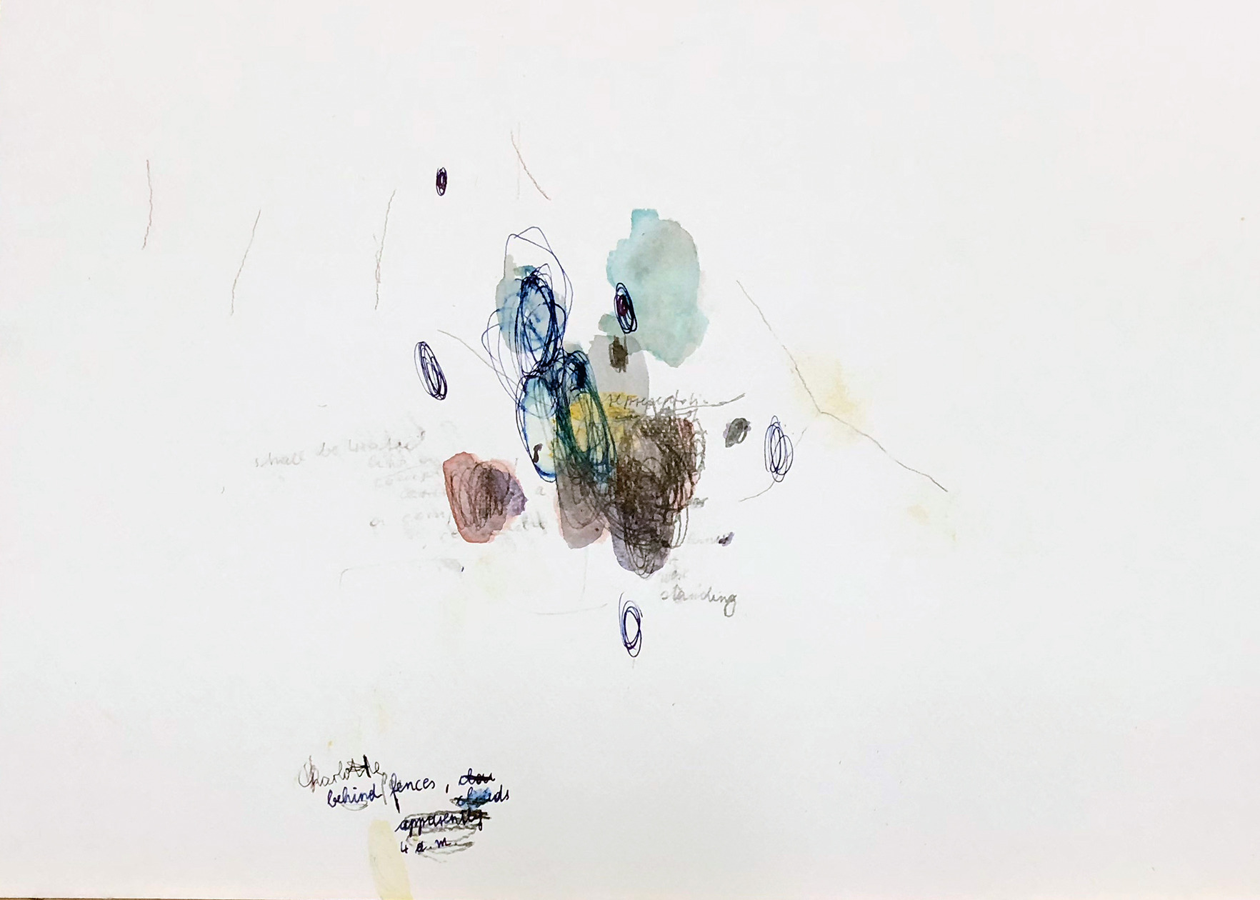 Charlotte, behind fences