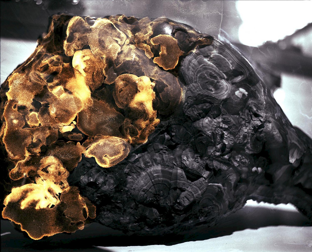 Meteorite (Encounters #9)