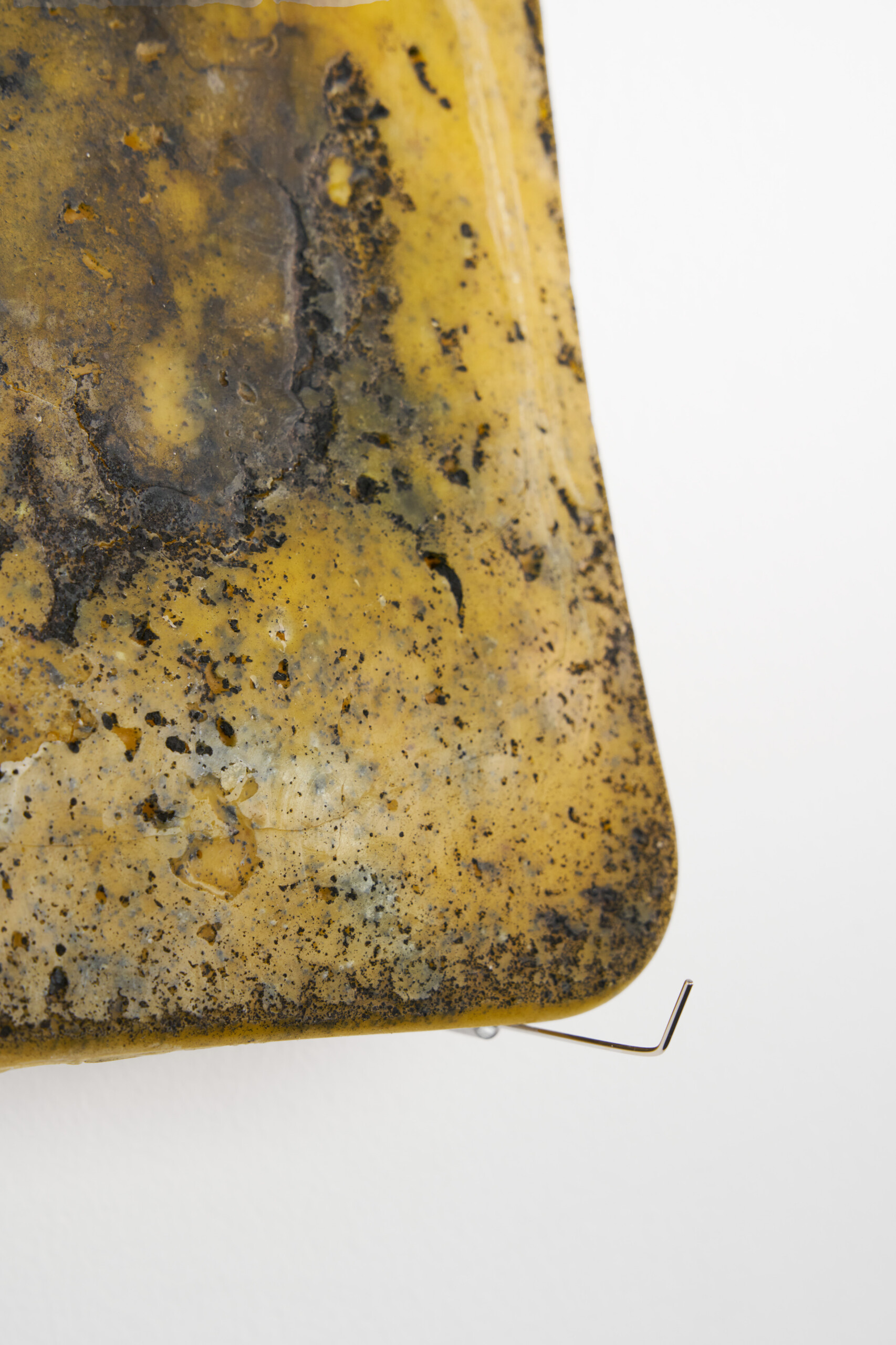 elemental immoral eternal forever young and healthy and indestructible carbon ancestor shields