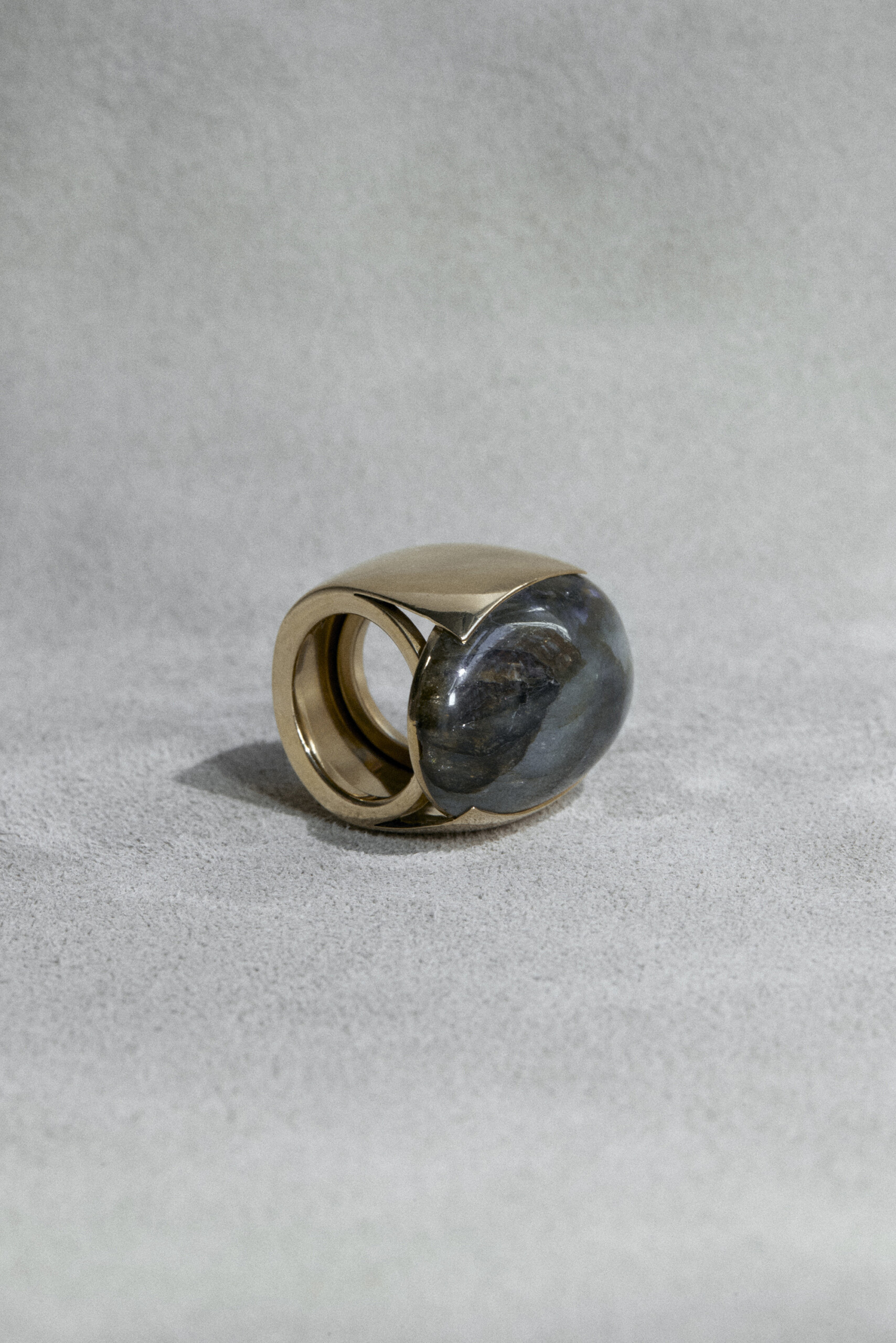 Nautilus