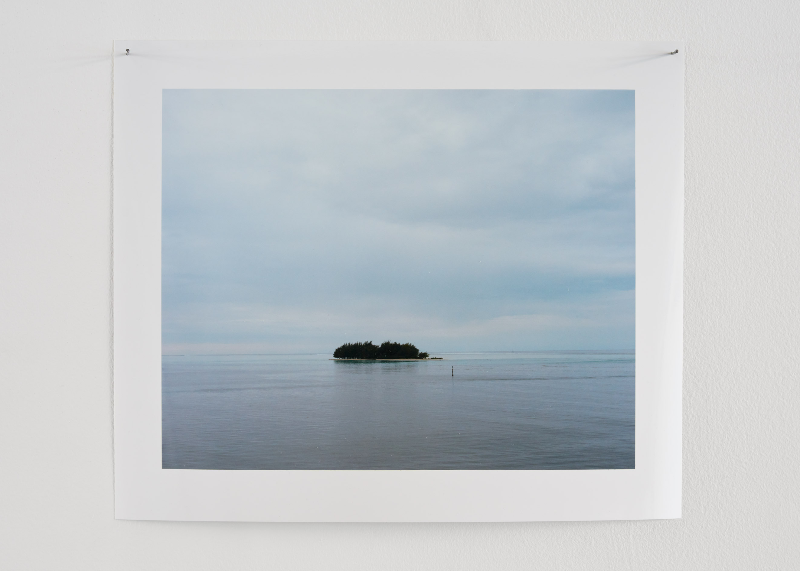 The Horizon Is Too Loud (week 2 Cook Island)