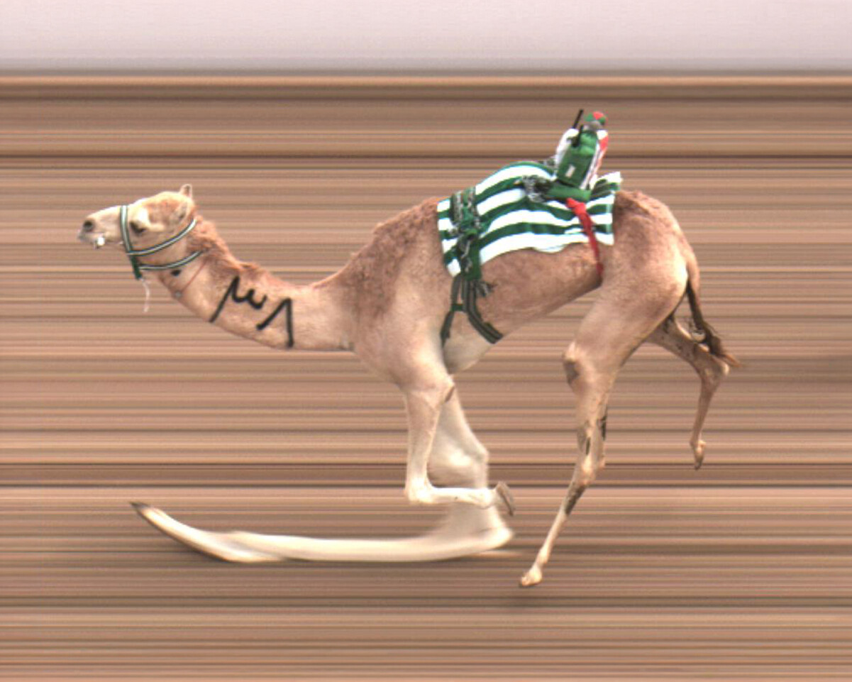 Divinacartomanti Photo Finish 138_DEF