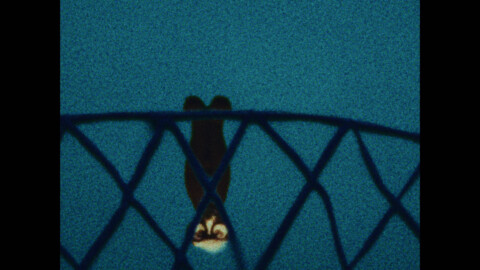 Film Still &mdash; Placeholder