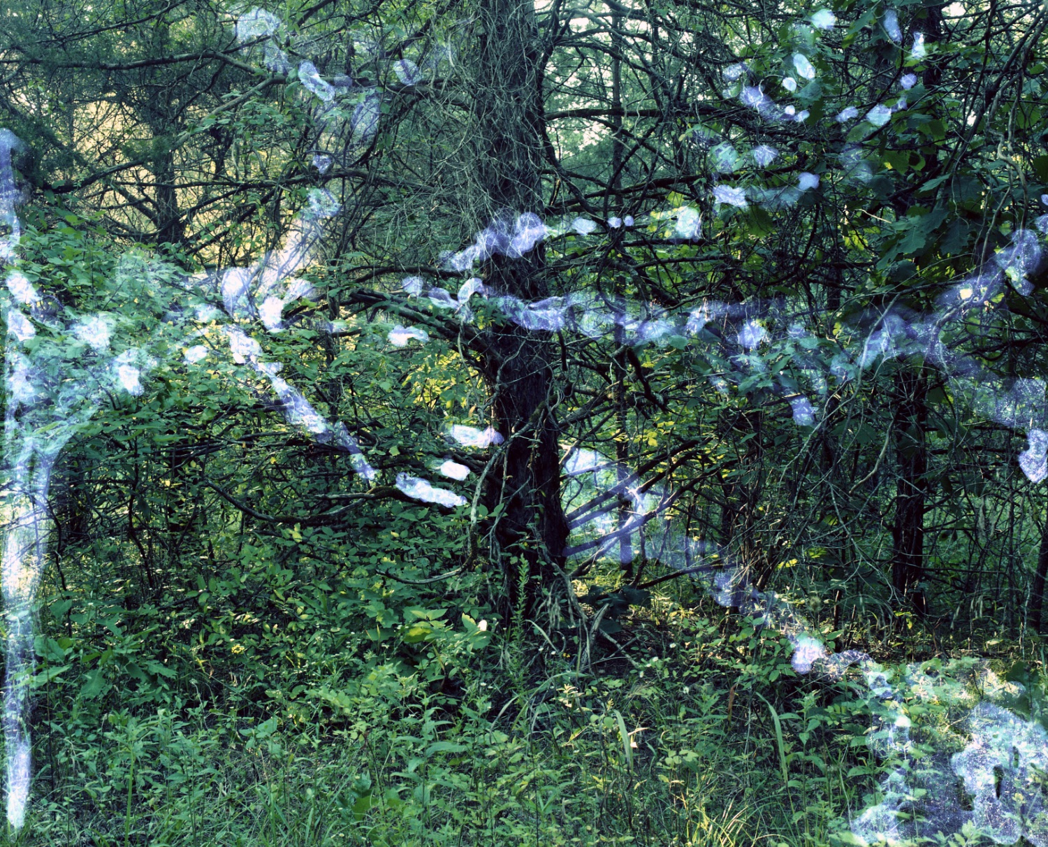 Flying Rivers 02_Hanna Mattes